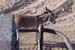 Donkey in IRAQ by RSO Tank